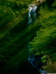 緑の風が吹く滝