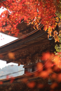 Tower in Autumn Sunlight