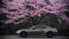 桜BRZ パートカラー