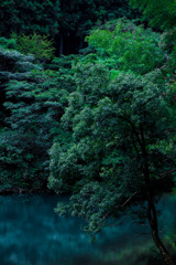 湖畔