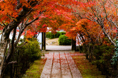 秋の寺