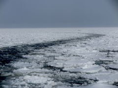 紋別流氷