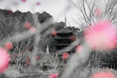 Tower in Plum Blossom Light
