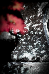 Season Falling on Stone