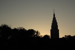 IMG_8292