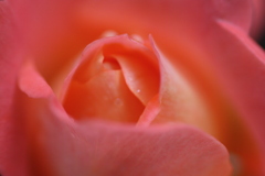 IMG_0006 (2)