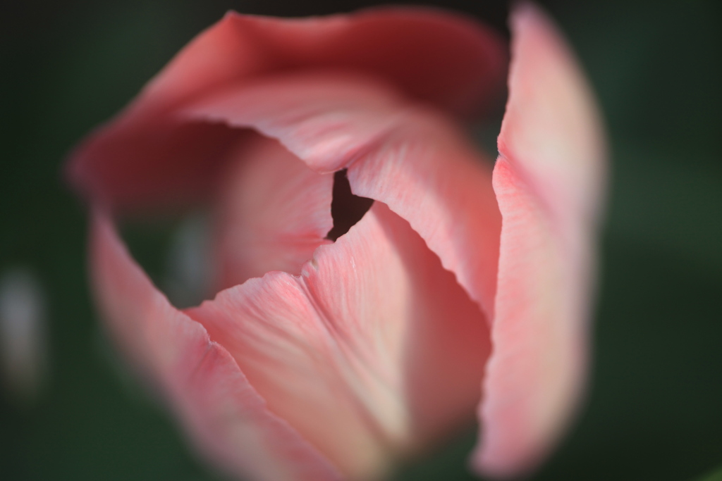 IMG_9898