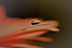 IMG_1046 (3)