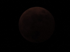 DSCN4431
