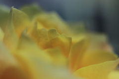 IMG_7109