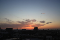 IMG_7012 (1)