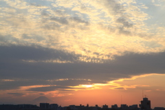 IMG_7009 (1)