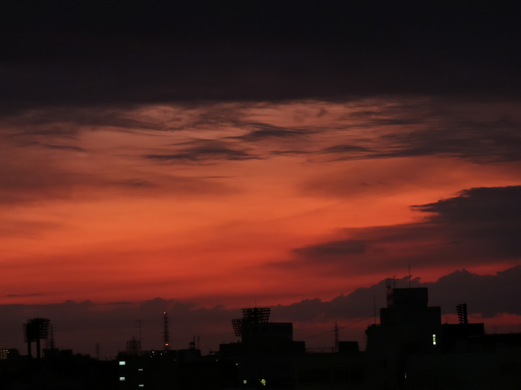 DSCN1629