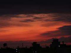 DSCN1629