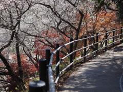 手すり