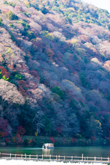 渡月橋より