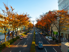 道路