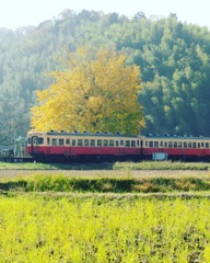 696B2F1F-BA84-49E1-ABB2-C7C0E6D7995D