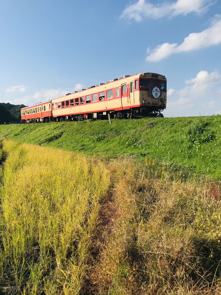 466CCE37-E4D2-46DC-A3DF-CC6EAC0D378A