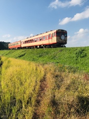 466CCE37-E4D2-46DC-A3DF-CC6EAC0D378A