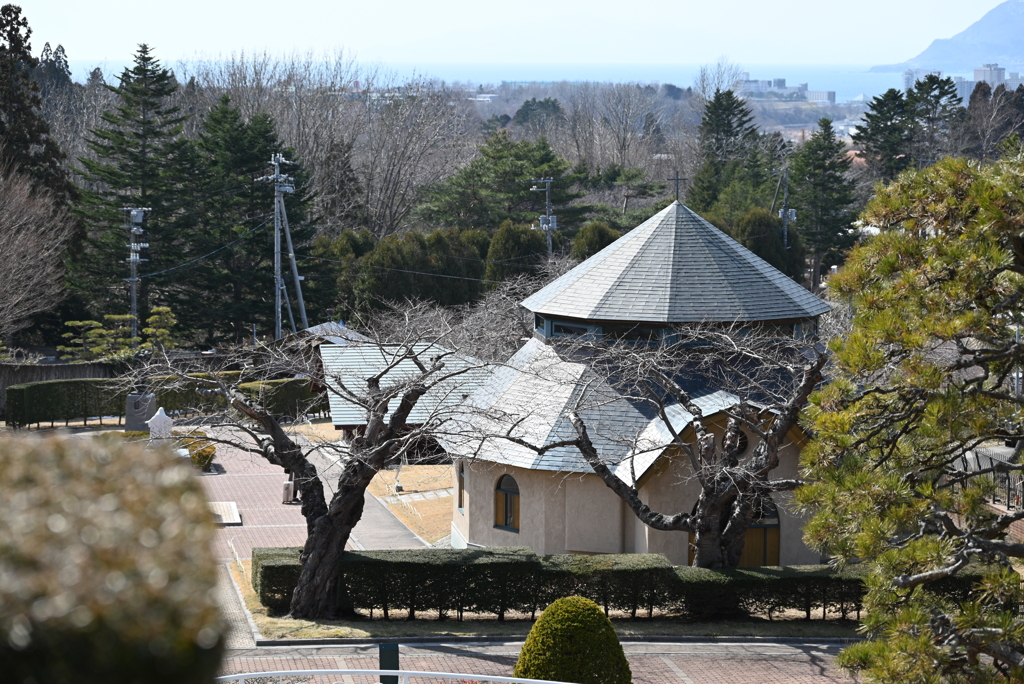 旅の美女