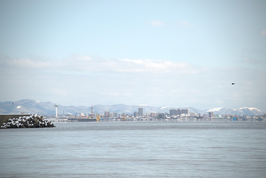 まるでミニチュア