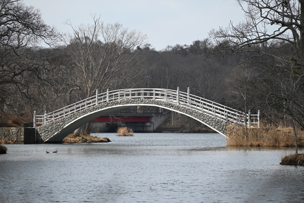 大沼国定公園から