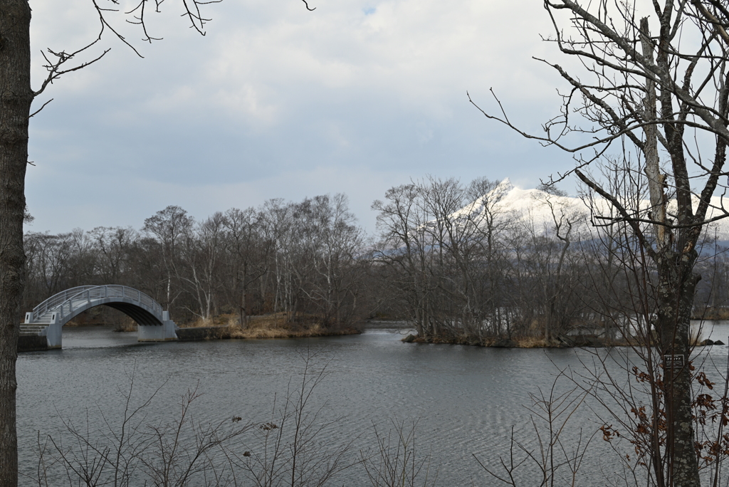 大沼国定公園から　駒ヶ岳