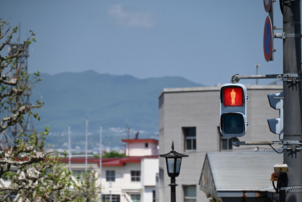 別れの朝