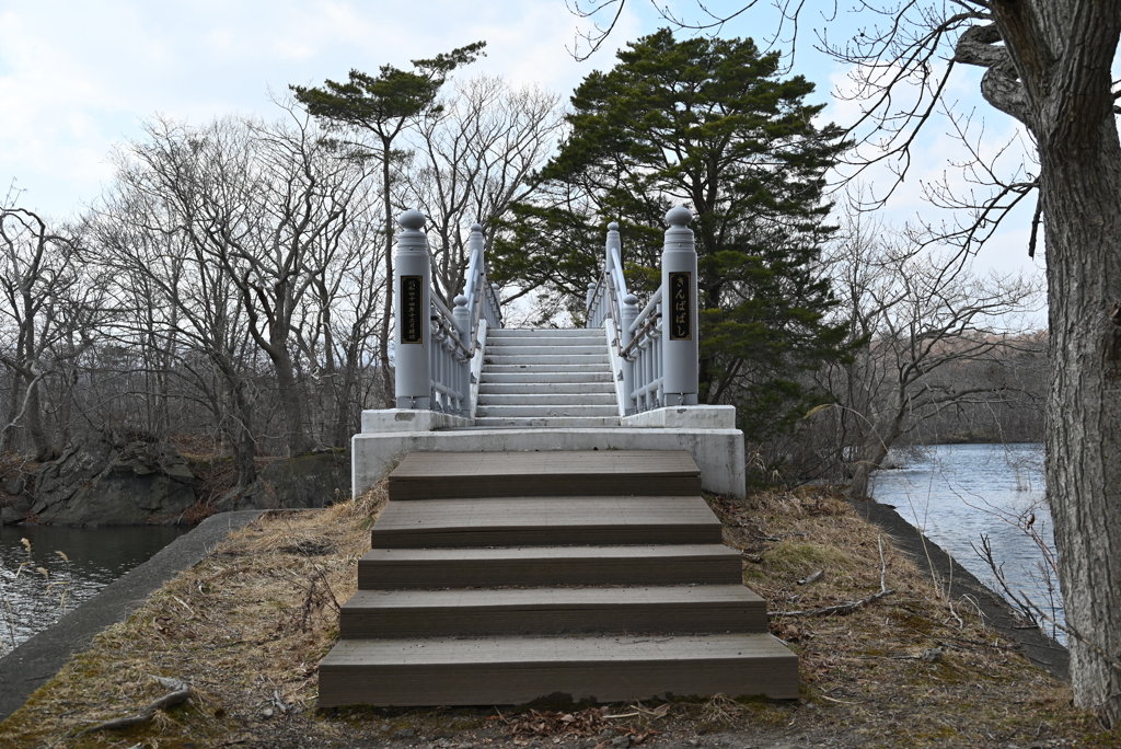 大沼国定公園から　きんぱばし