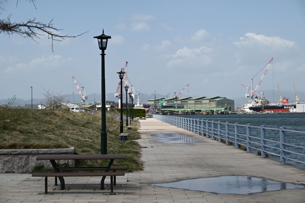 緑の島から　函館どつぐ１