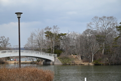 大沼国定公園から　灯