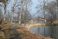 大沼国定公園から