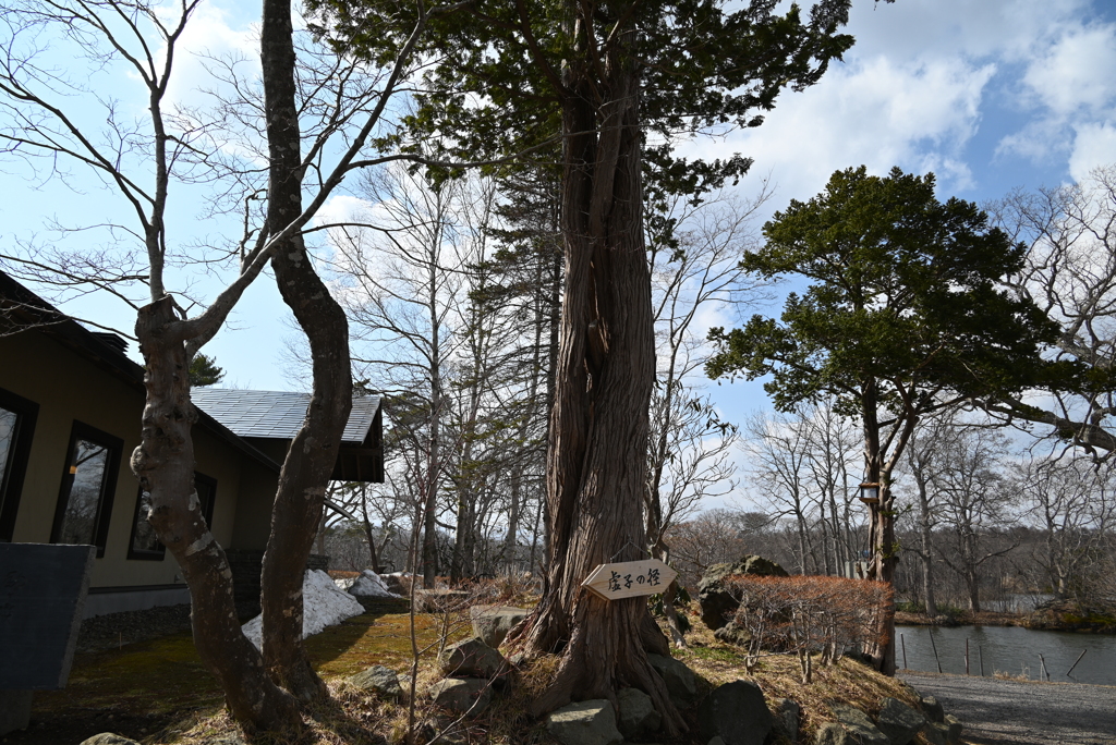 大沼国定公園から　虚子の径