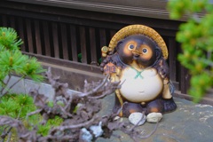 たぬきの旅