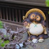 たぬきの旅