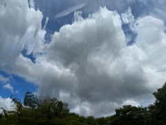 雲が多い日