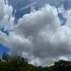雲が多い日