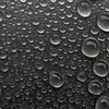 雨上がりの朝