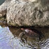 海の休憩スポット