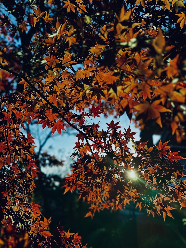 季節