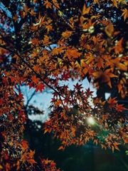 季節