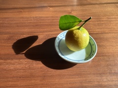 レモン