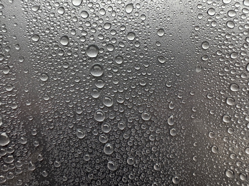水も滴る季節