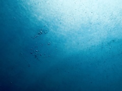 海底風