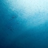 海底風