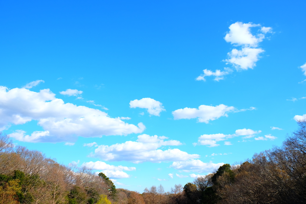 春な空