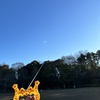 ニャー