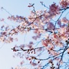 春はもうすぐ