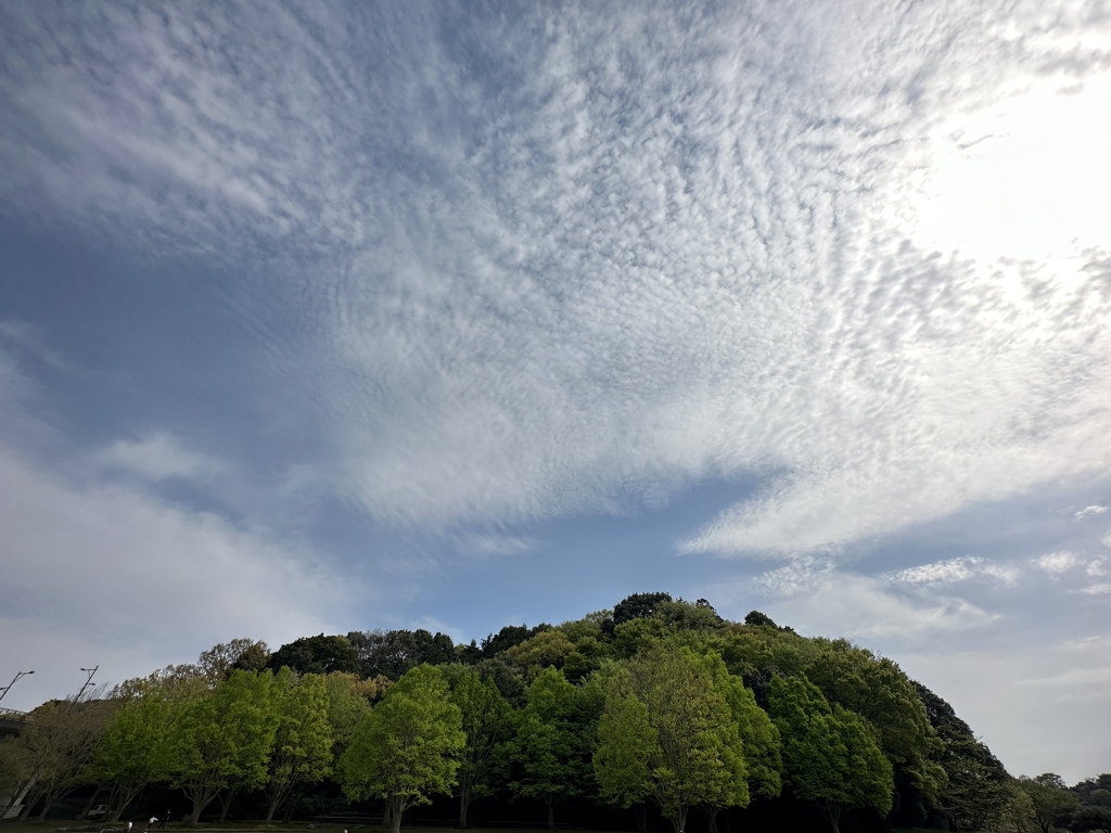 青い空そして雲